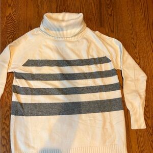 Striped Turtleneck Sweater
